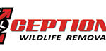 A-Team Wildlife Removal logo