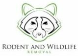 Gardena Wildlife Removal